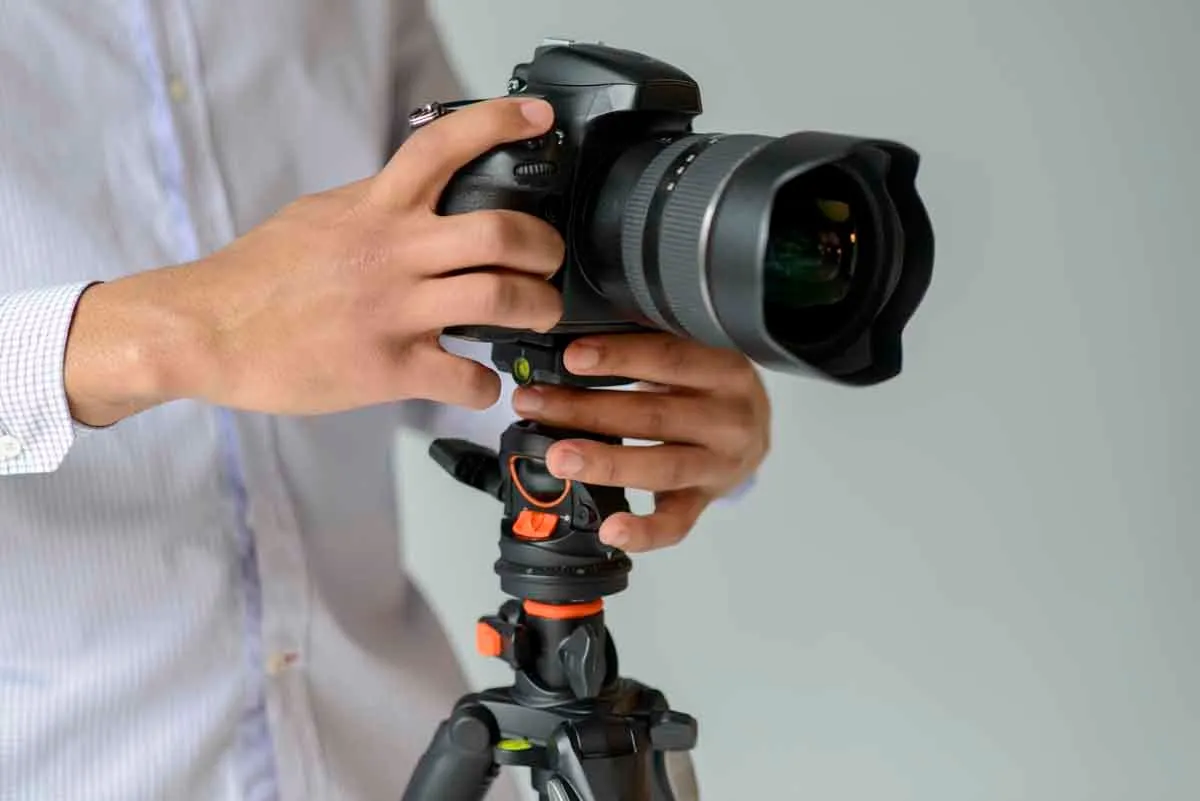 Professional Photographer
