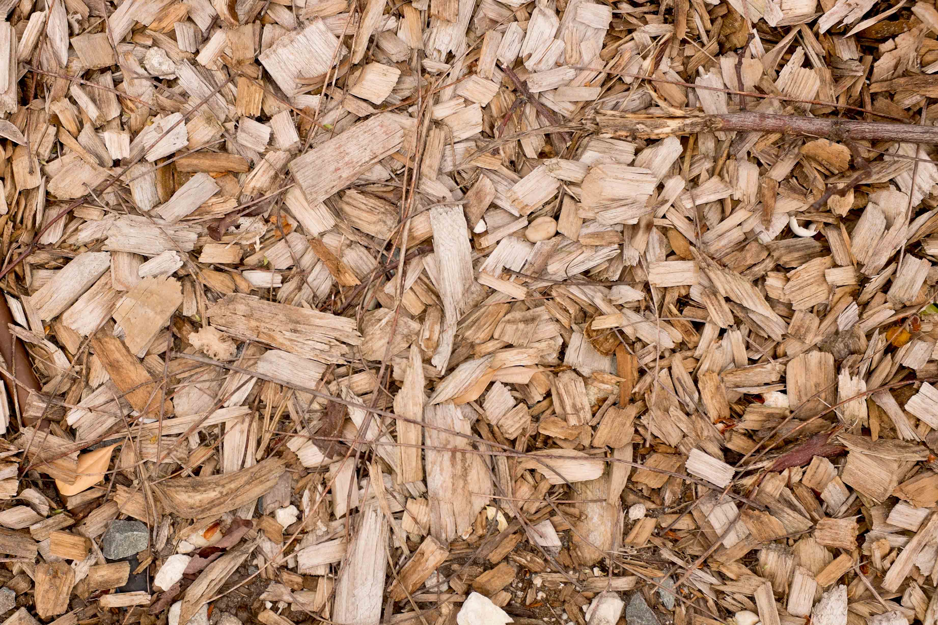 Free Wood Chips