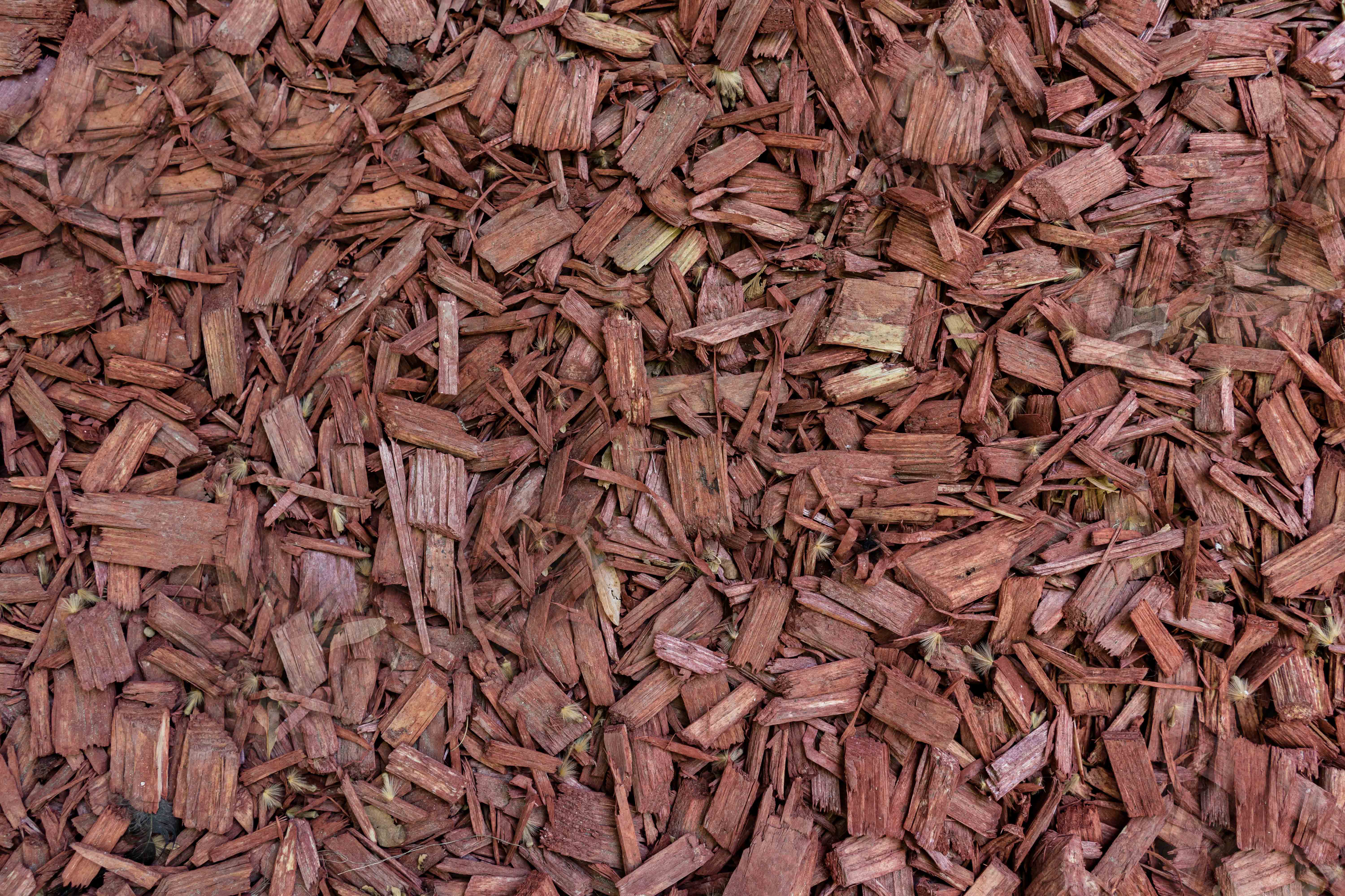 Free Wood Chips