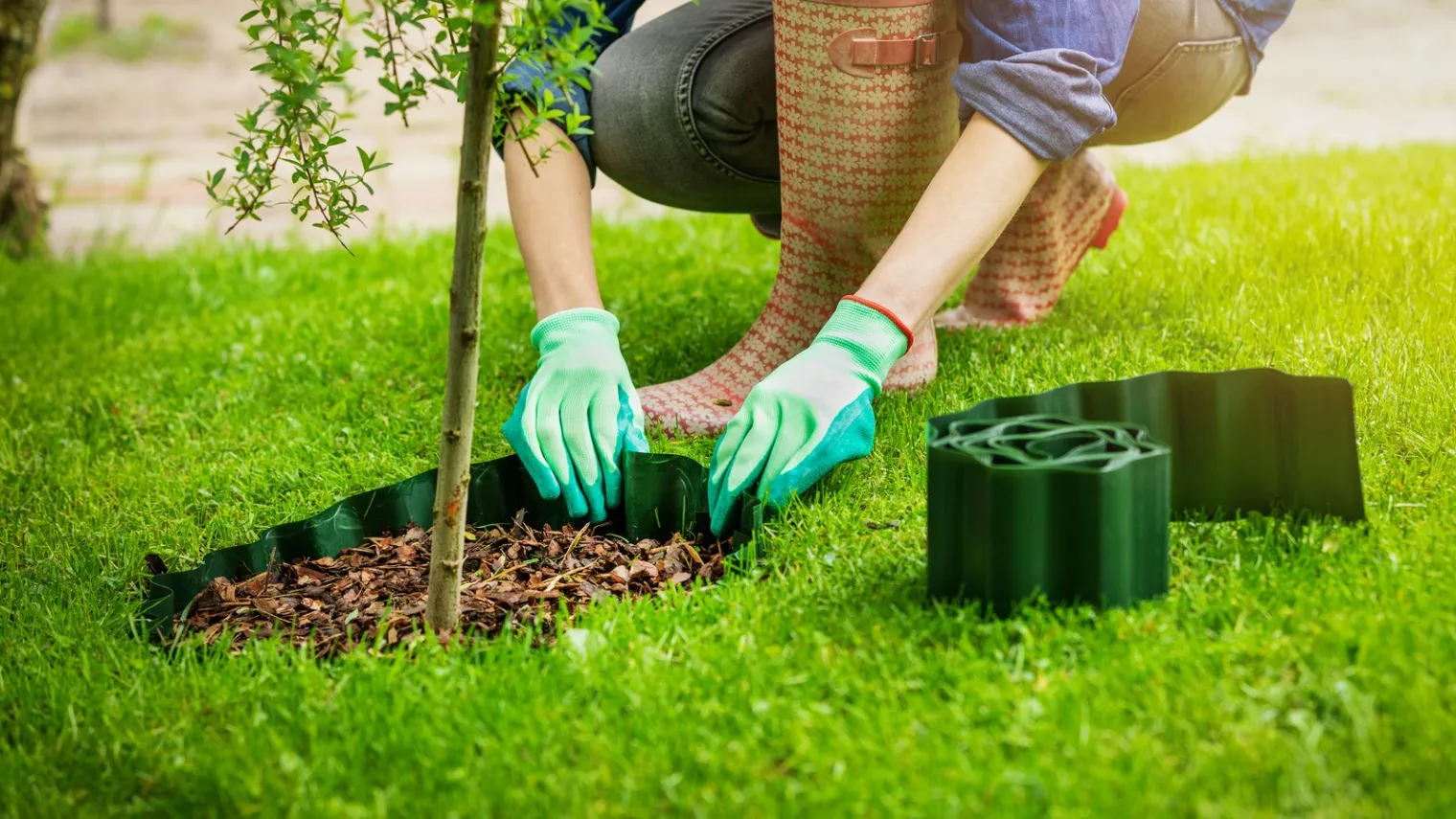 Edging tree