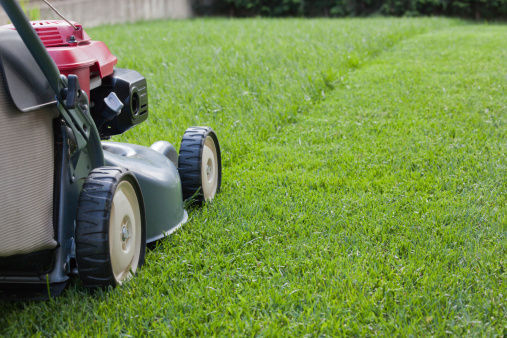 Lawn Care Services