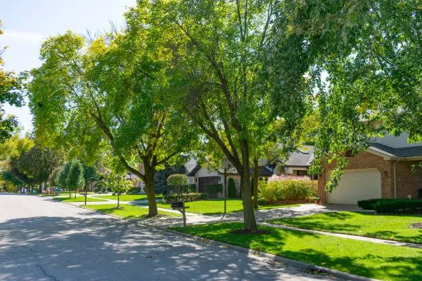 Acosta Tree Service Inc