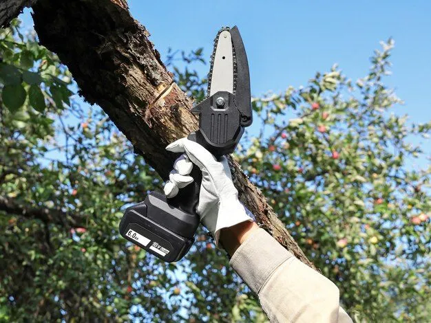 Tree Pruning