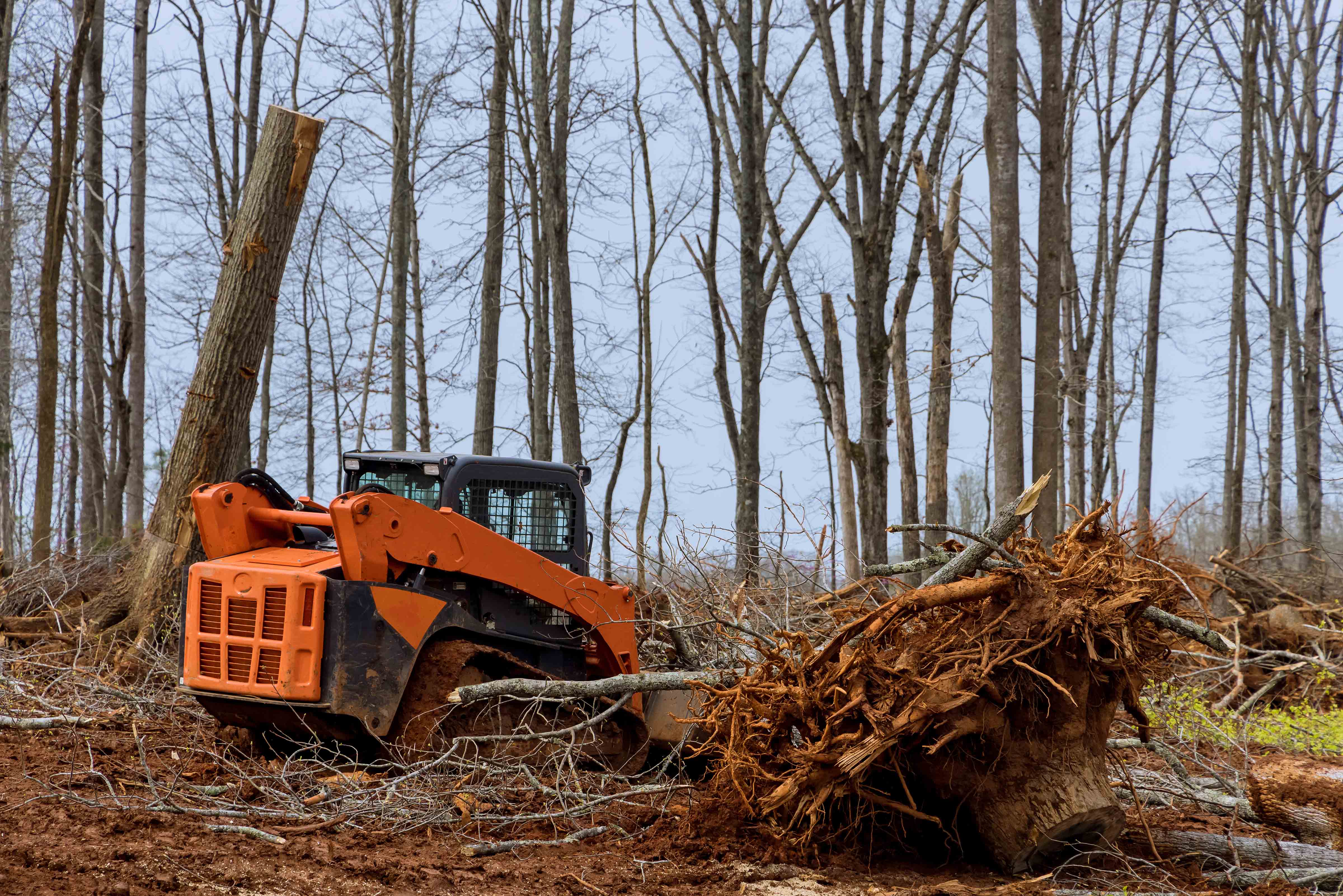 Land Clearance