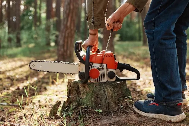 Tree removal