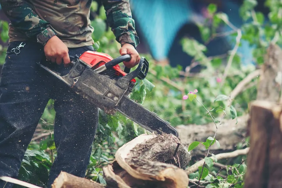 Tree Cutting