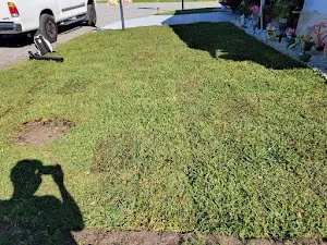 Lawn care Campos