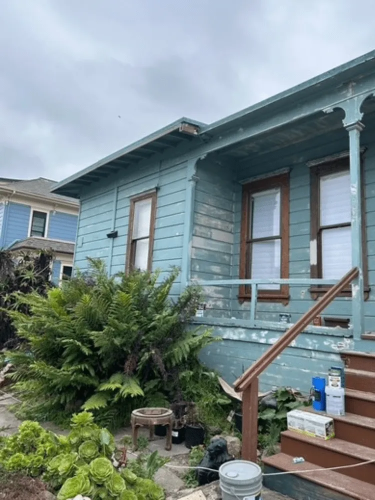 Gallery image 16