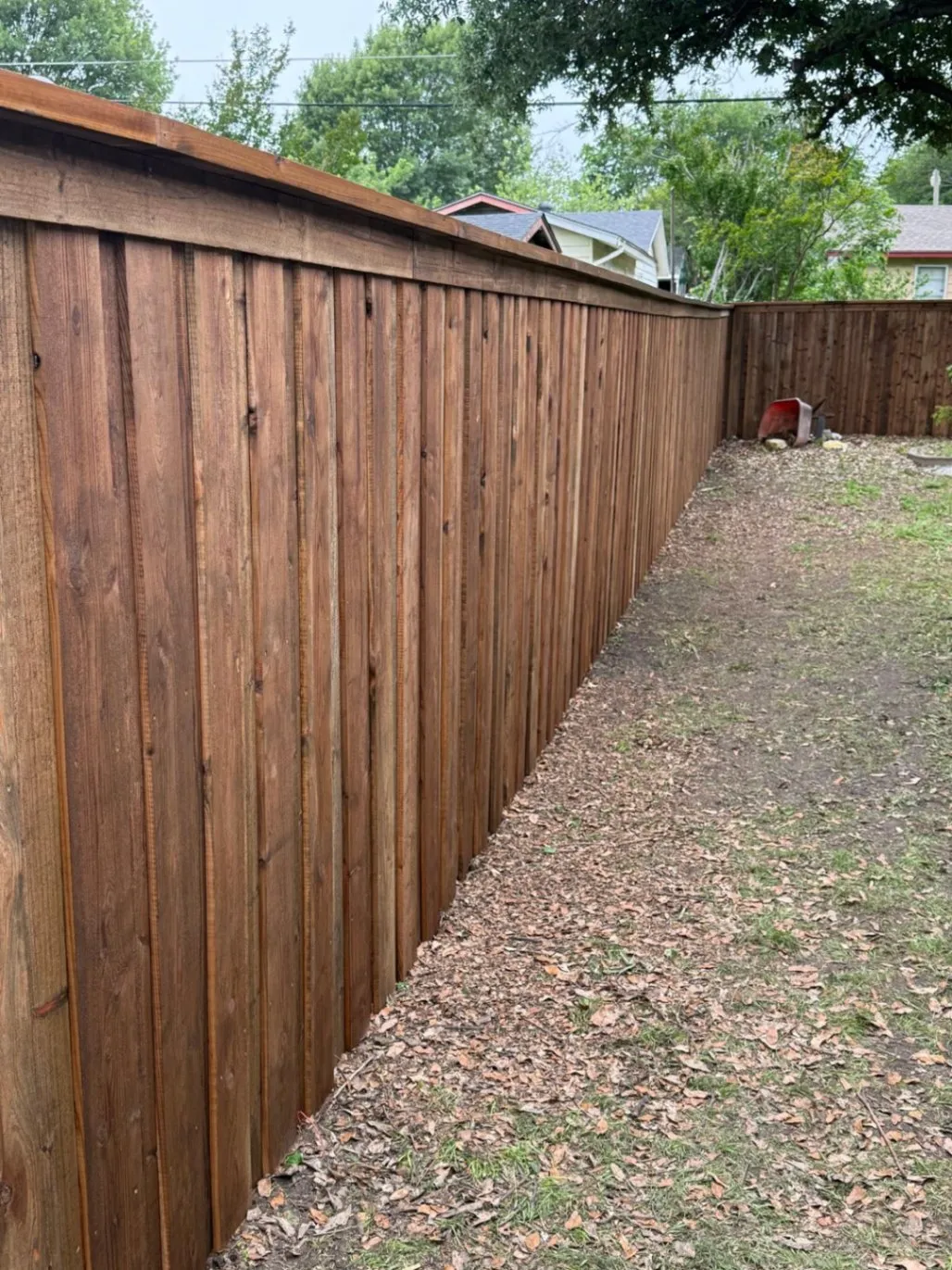Gallery image 15