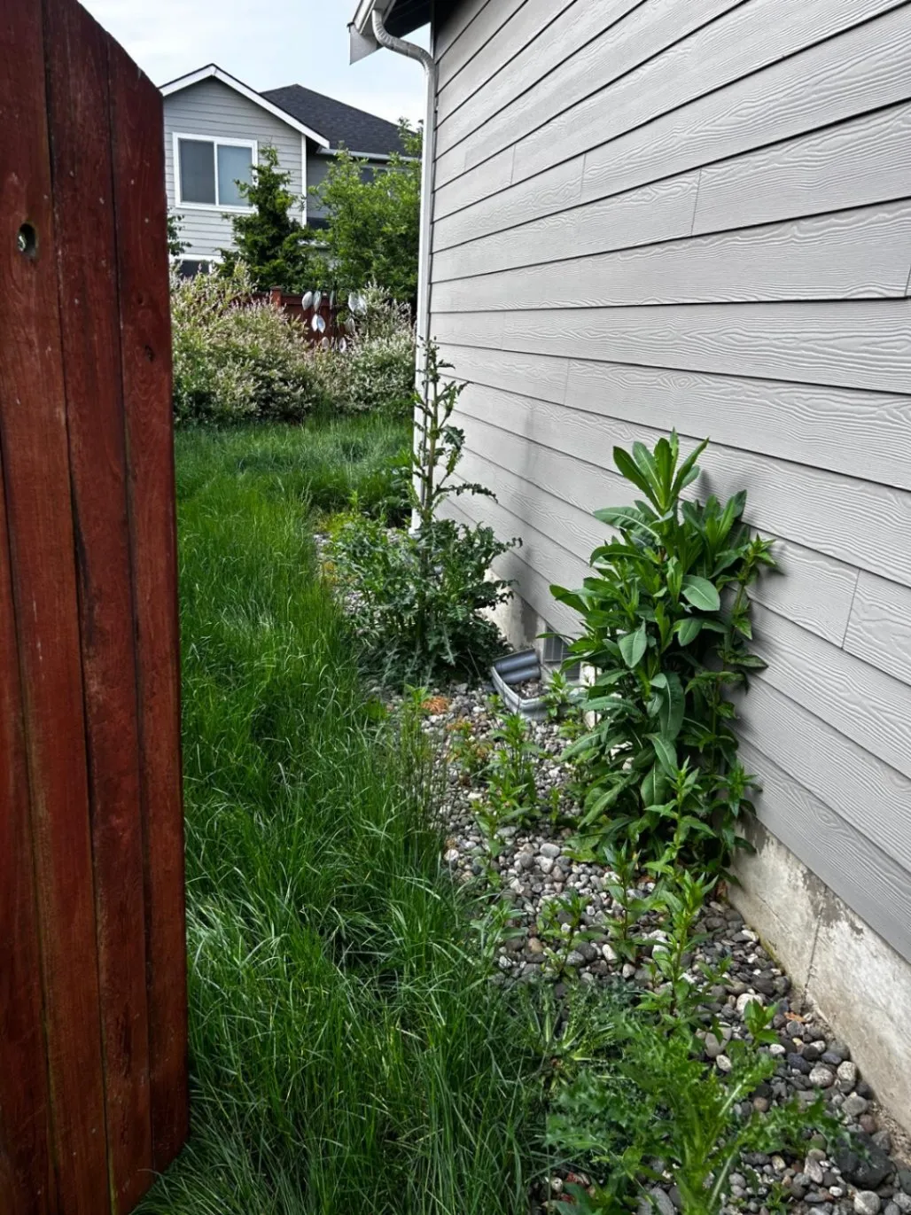 Gallery image 44