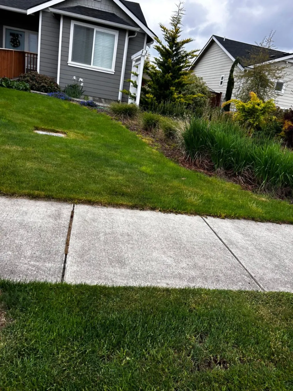 Gallery image 53