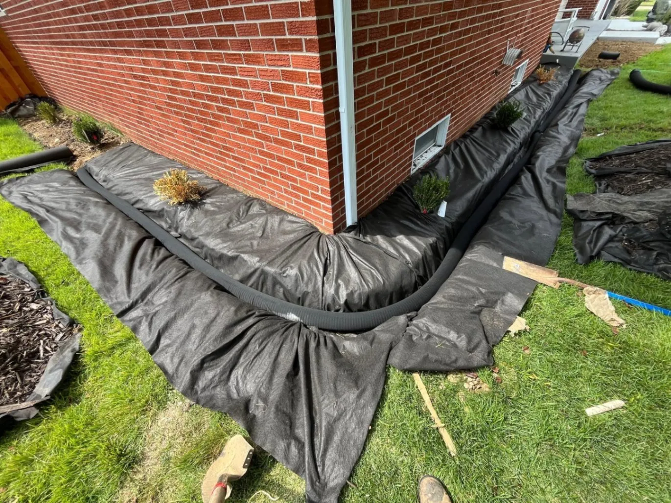 Portfolio project 22