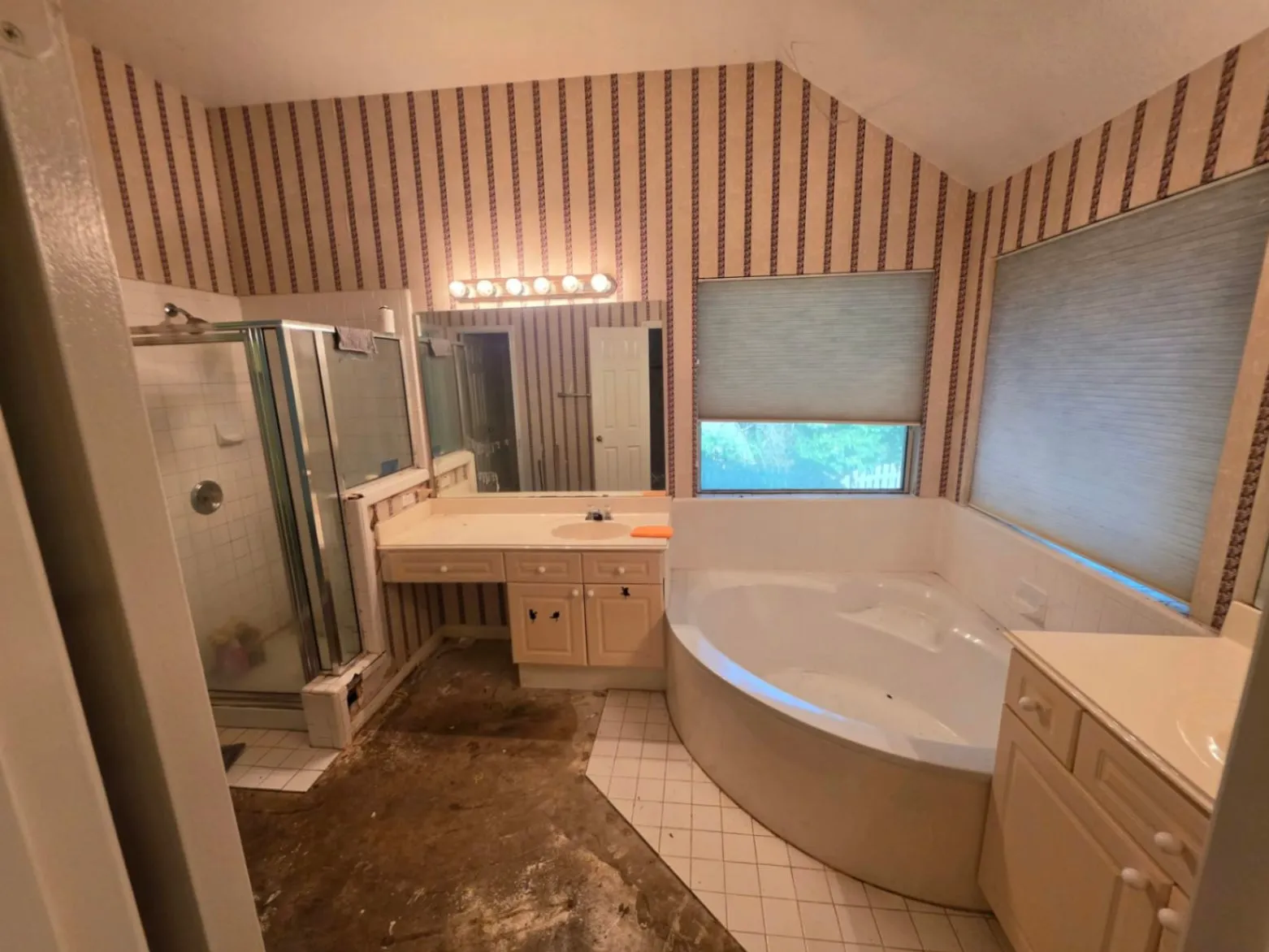 Gallery image 103
