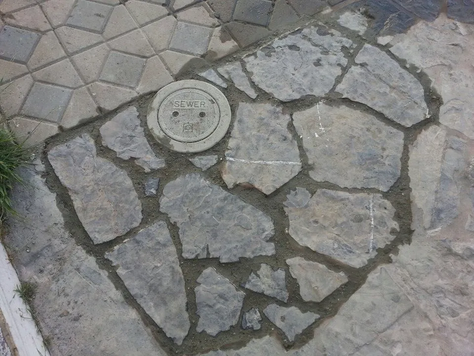 Gallery image 6