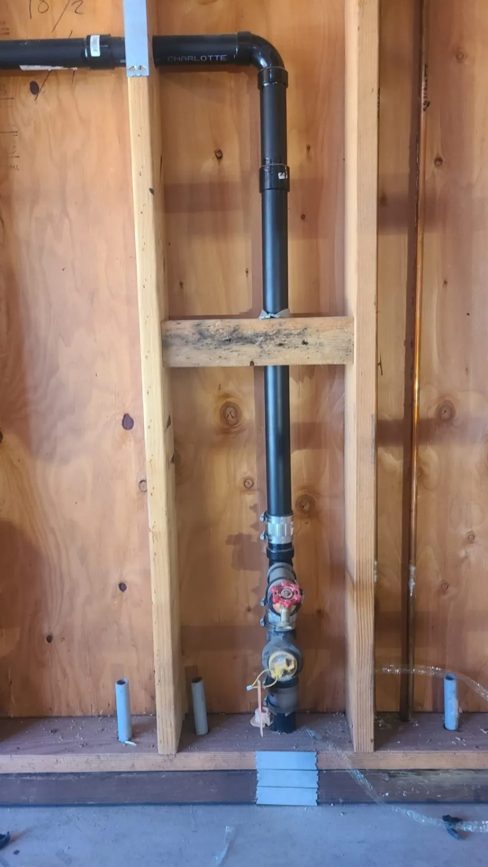 Gallery image 10