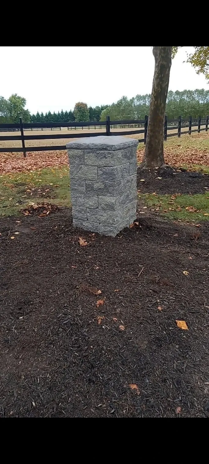 Gallery image 14