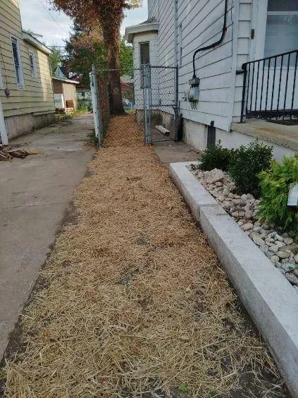 Gallery image 13