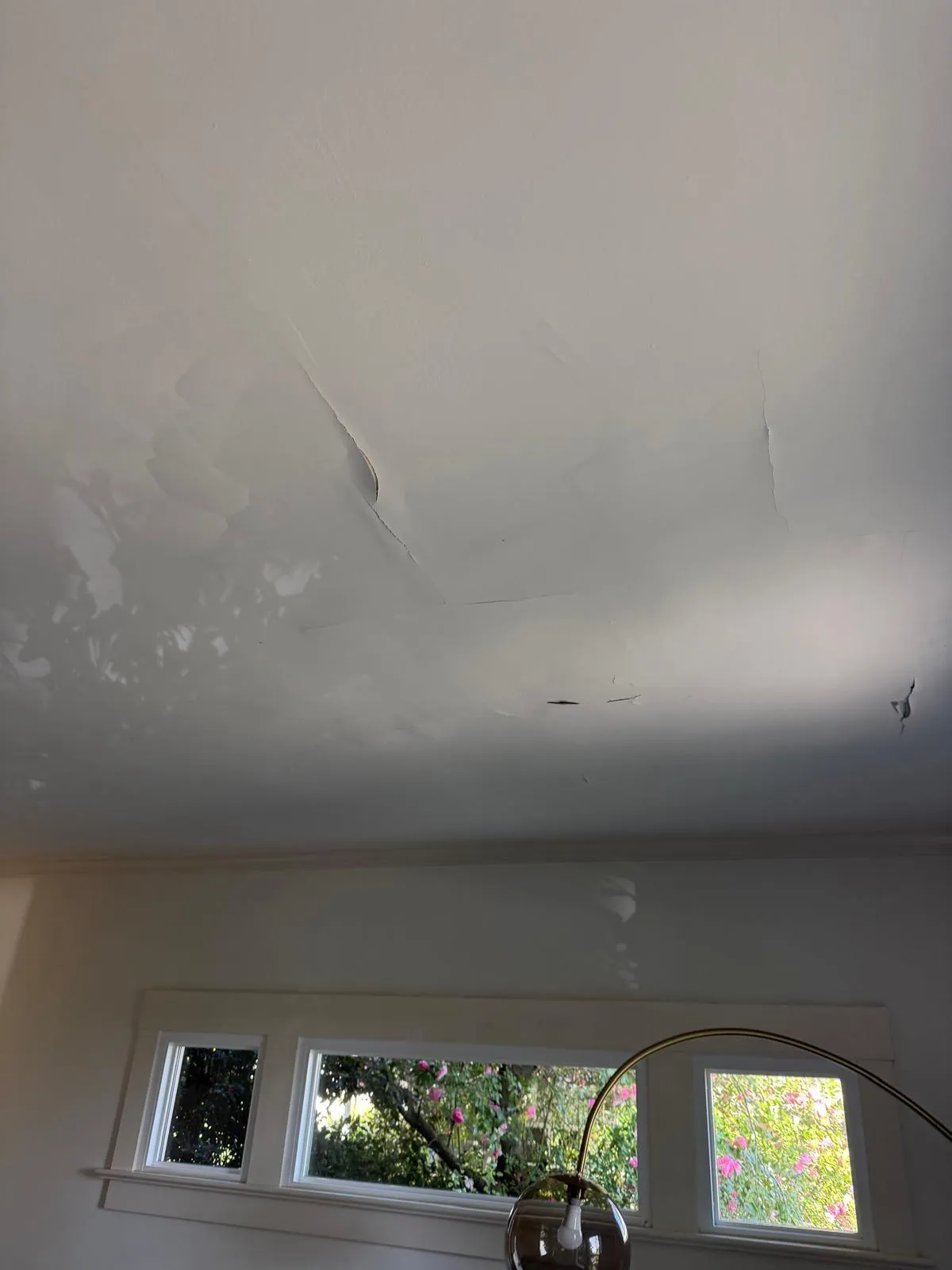 Gallery image 0