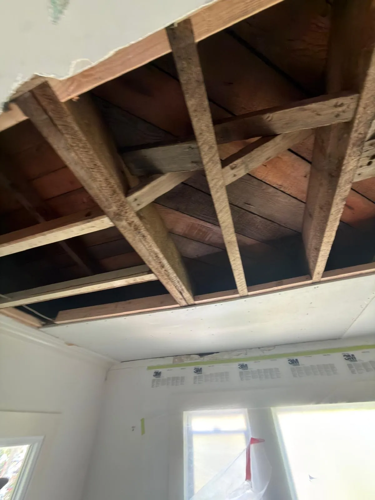 Gallery image 8