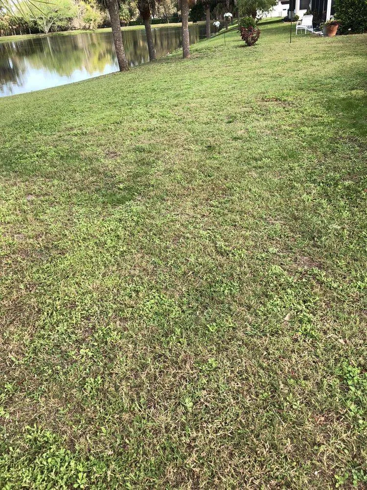 Gallery image 10