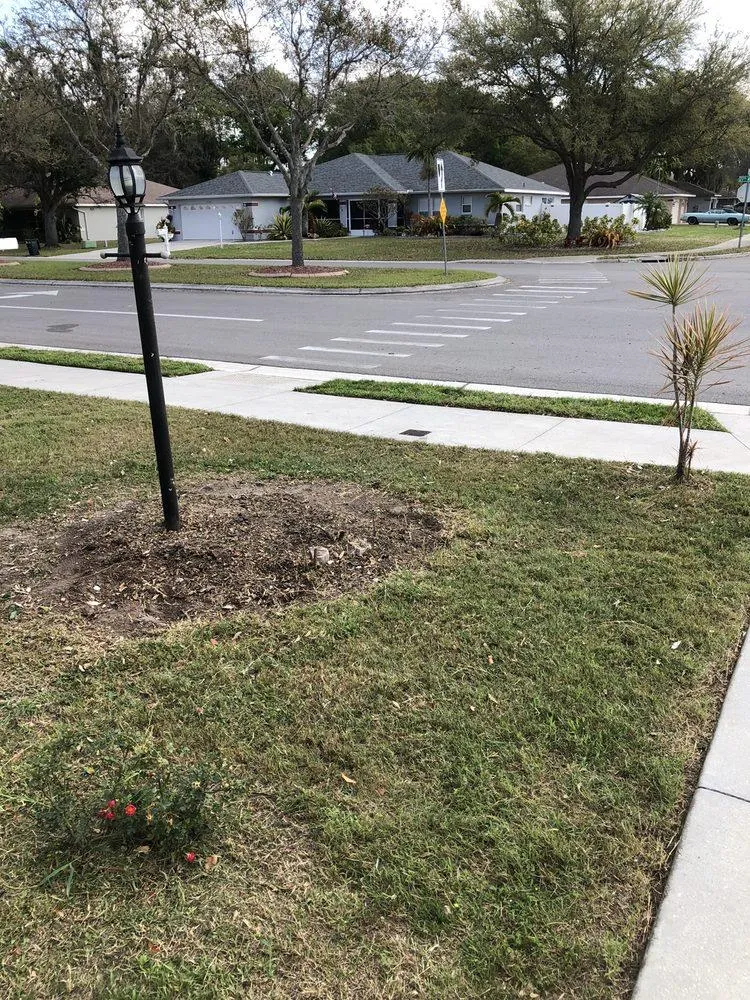Gallery image 14