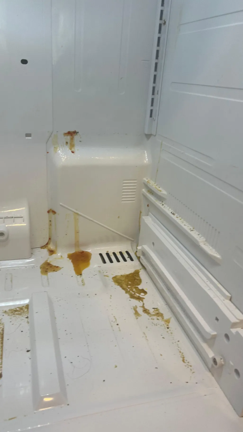 Lucia Colorado Service