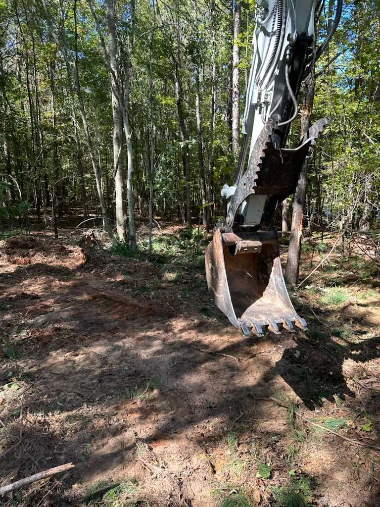 Gallery image 11