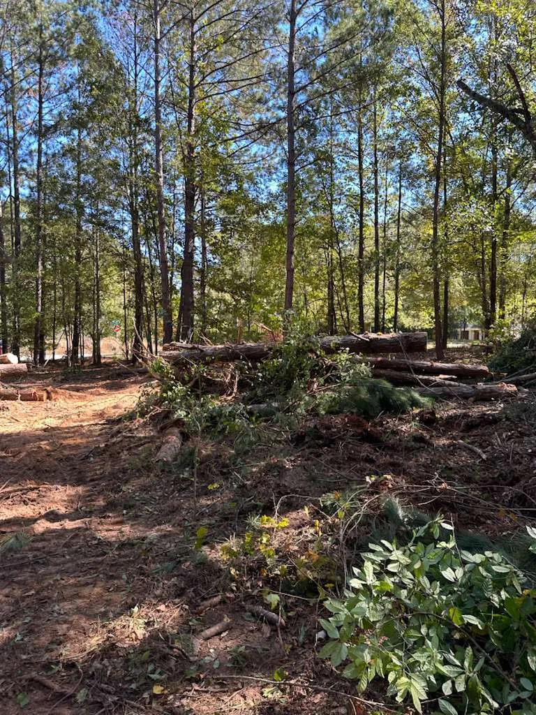 Gallery image 15