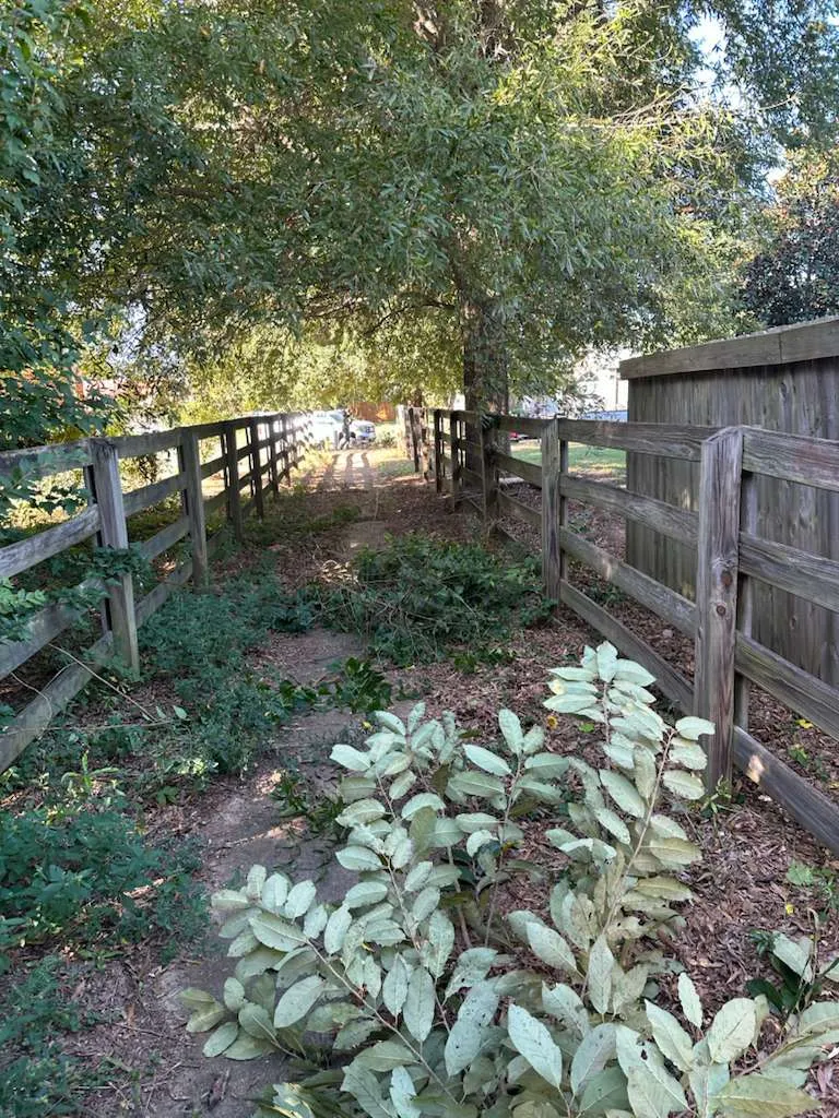 Gallery image 4