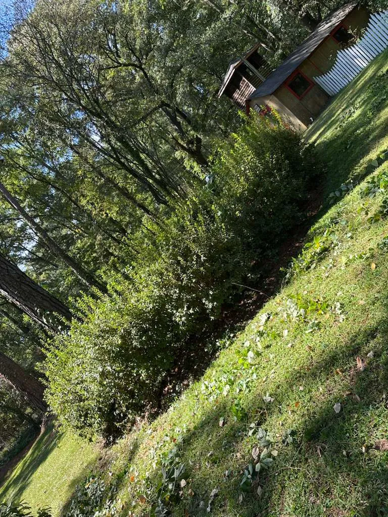 Gallery image 1