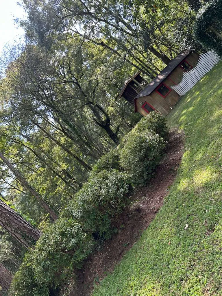 Gallery image 3
