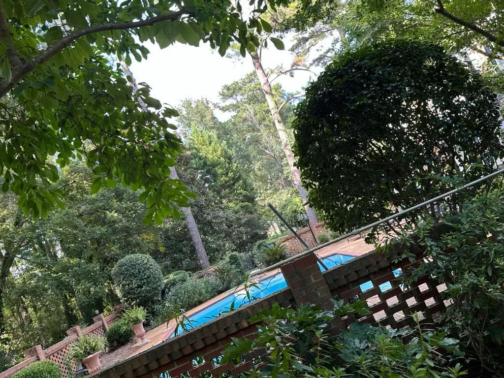 Gallery image 5