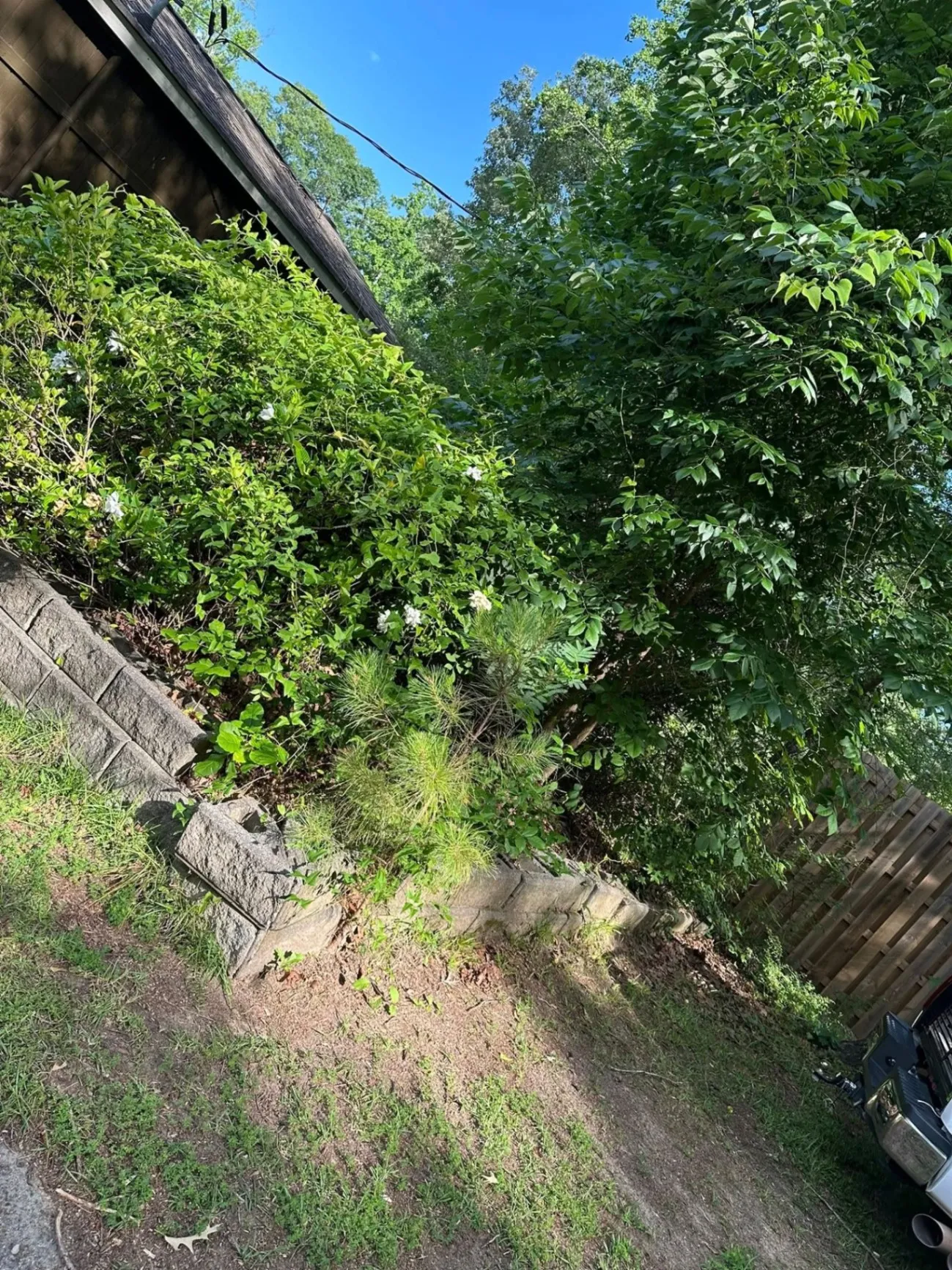 Gallery image 21