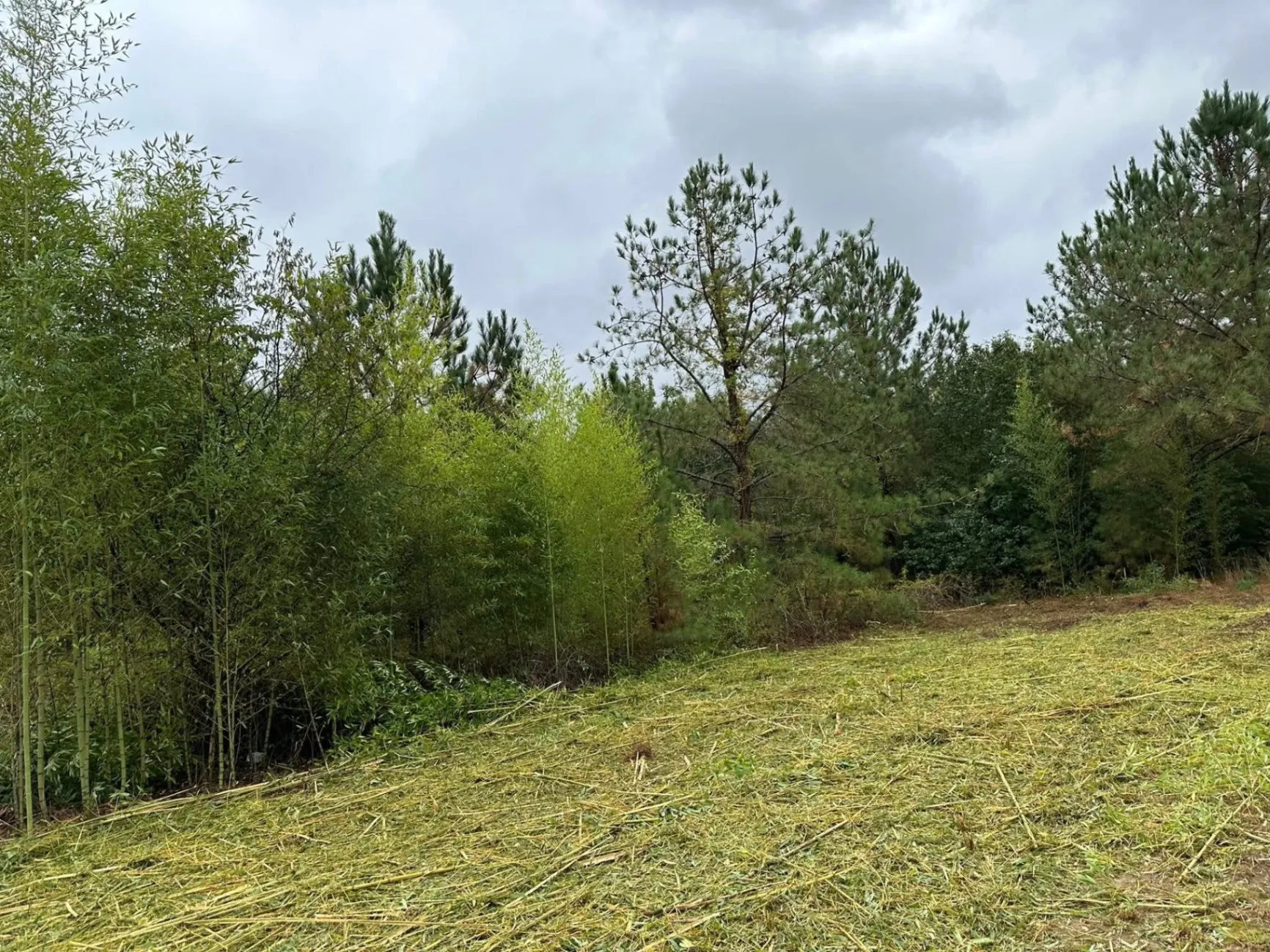 Gallery image 62