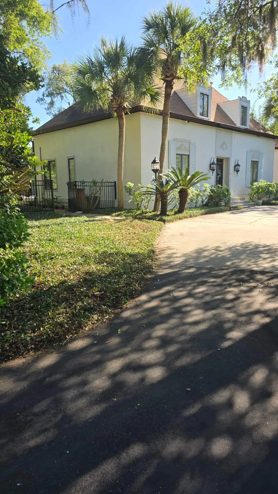 Gallery image 64