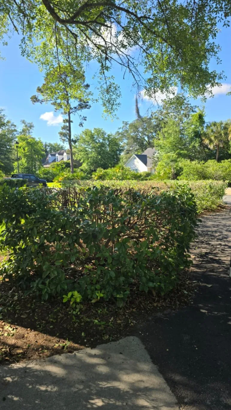 Gallery image 66