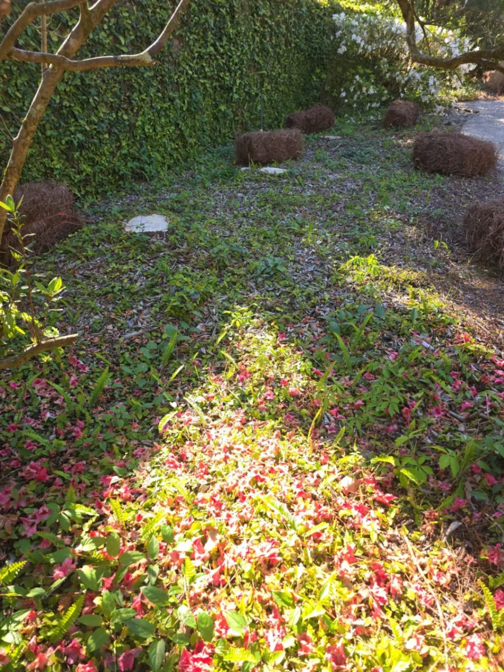 Gallery image 38