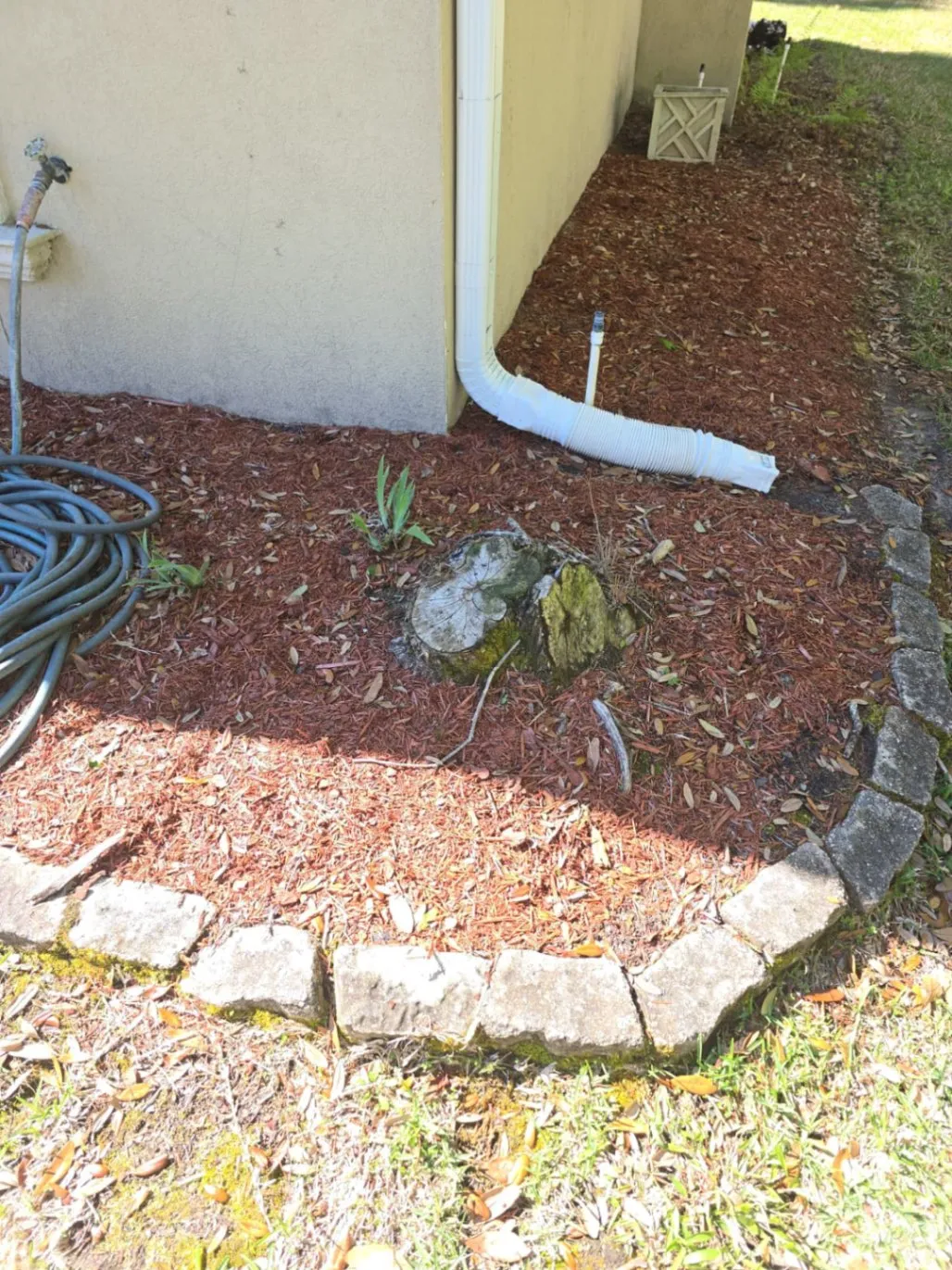 Gallery image 42