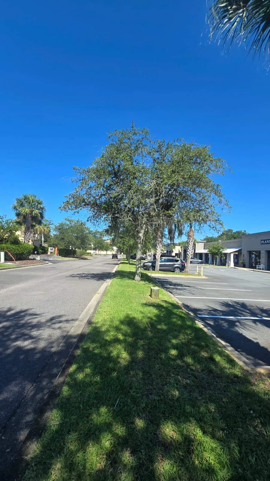 Gallery image 78