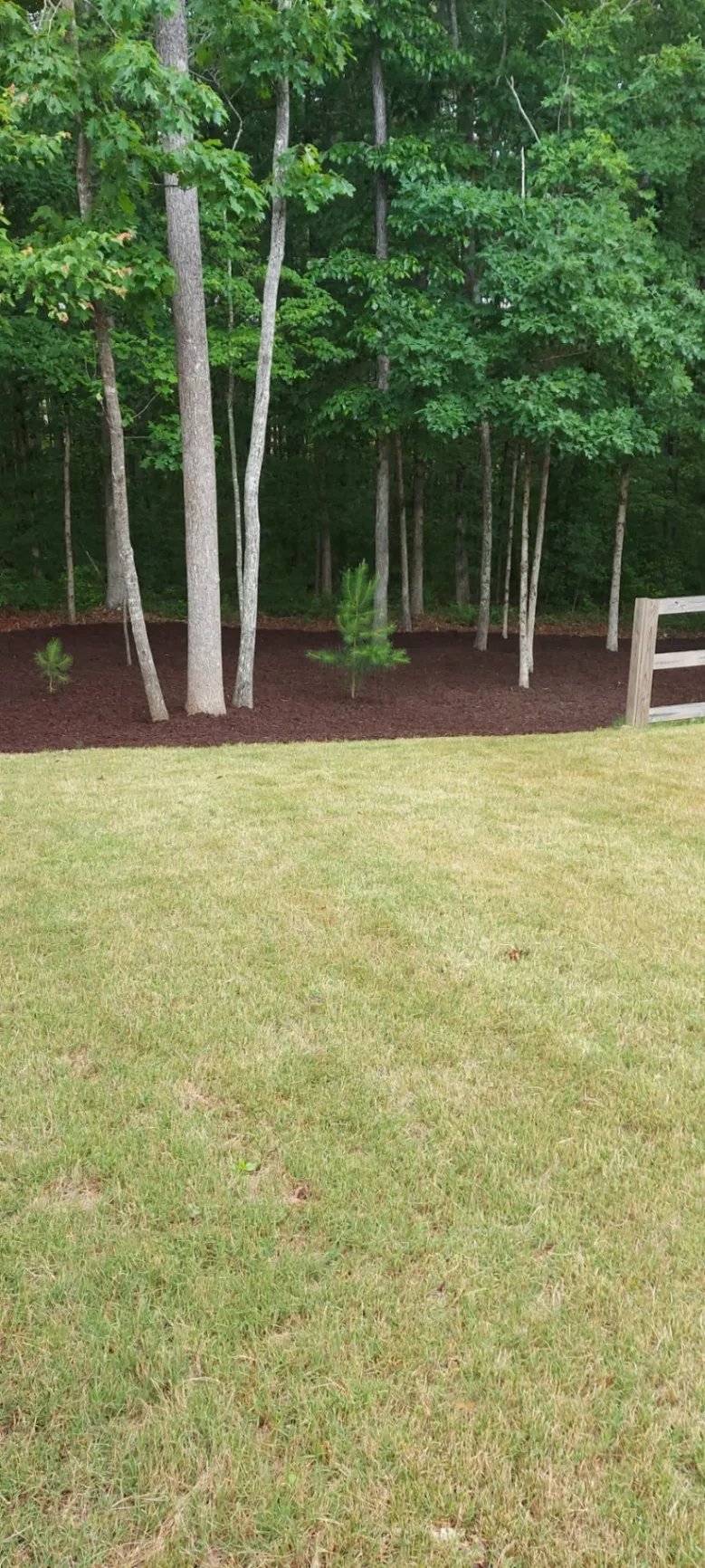 F.B.L. Tree Service LLC