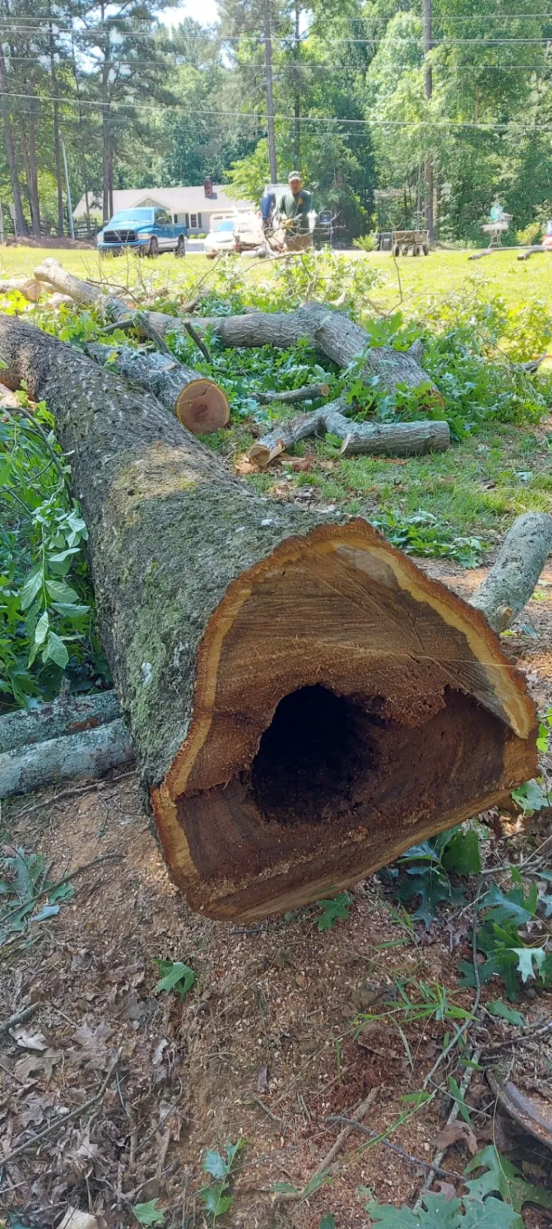 Home Section Two Image