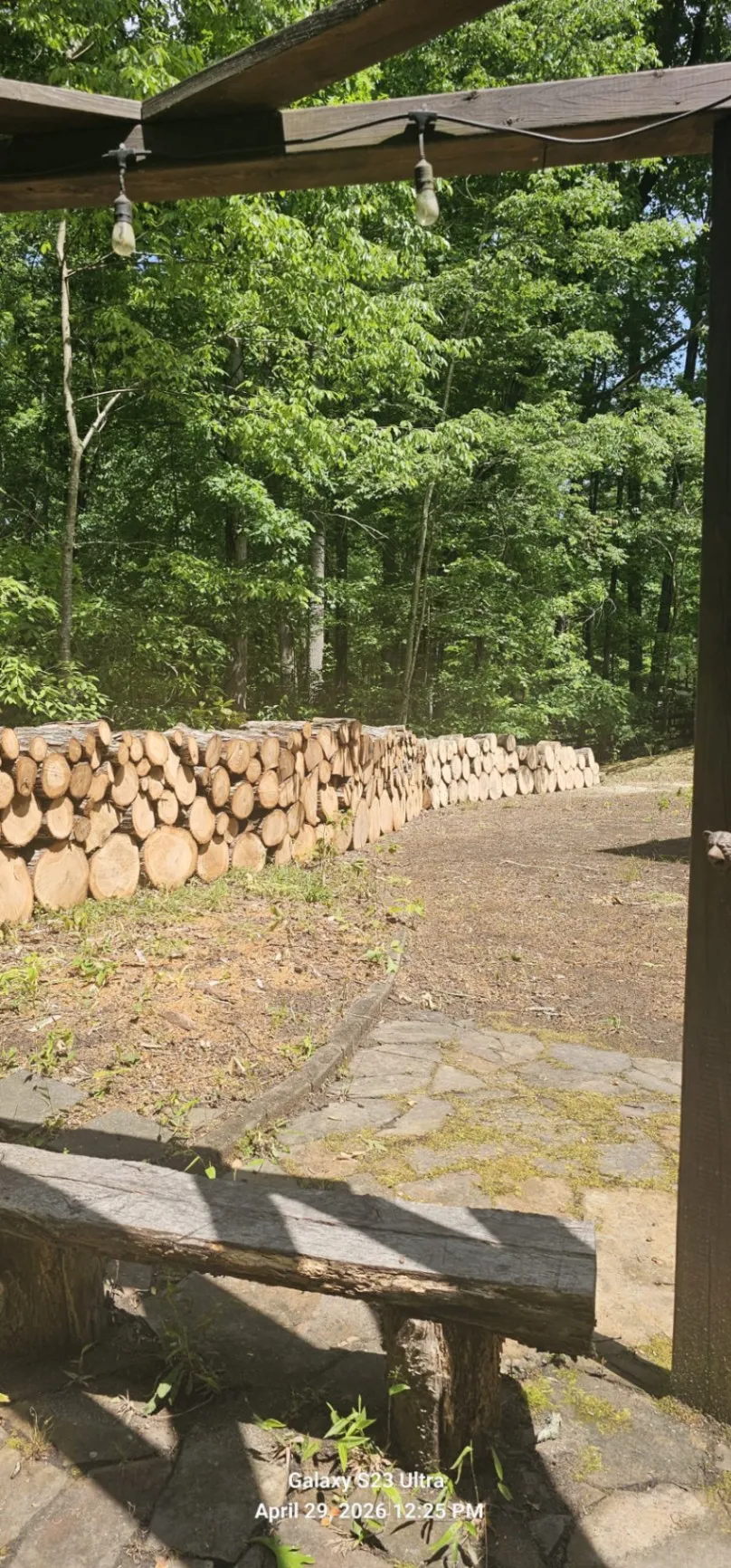 Gallery image 13