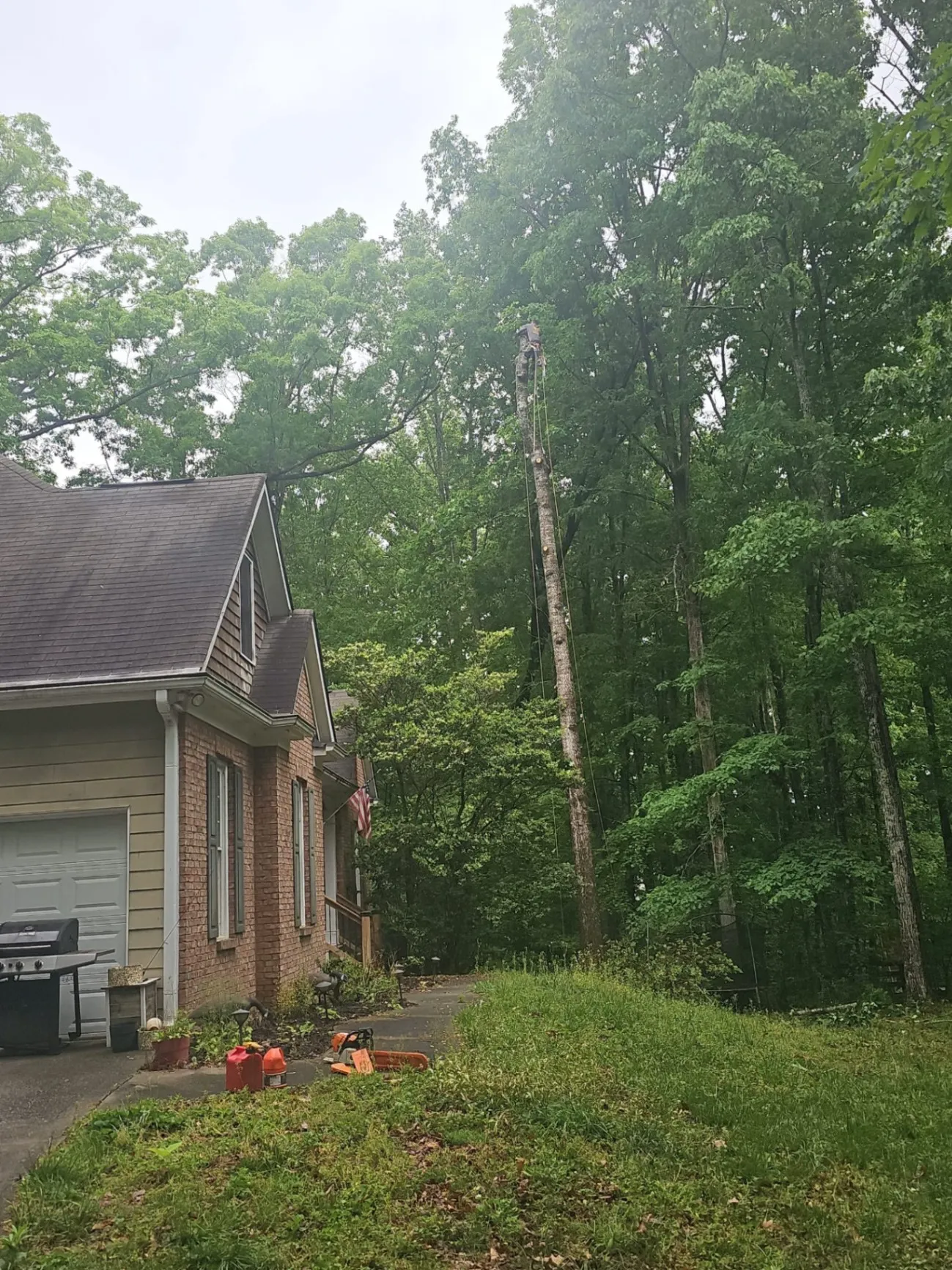 Gallery image 18