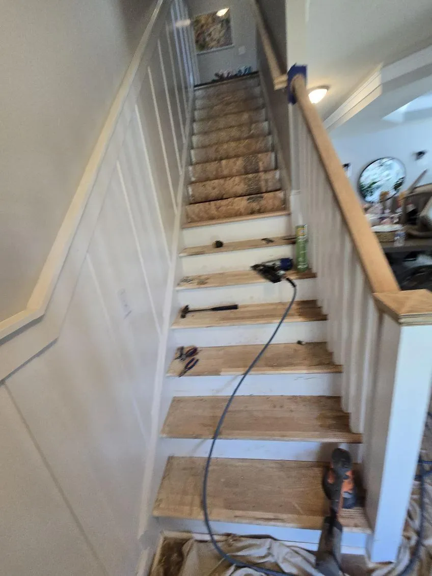 Gallery image 12