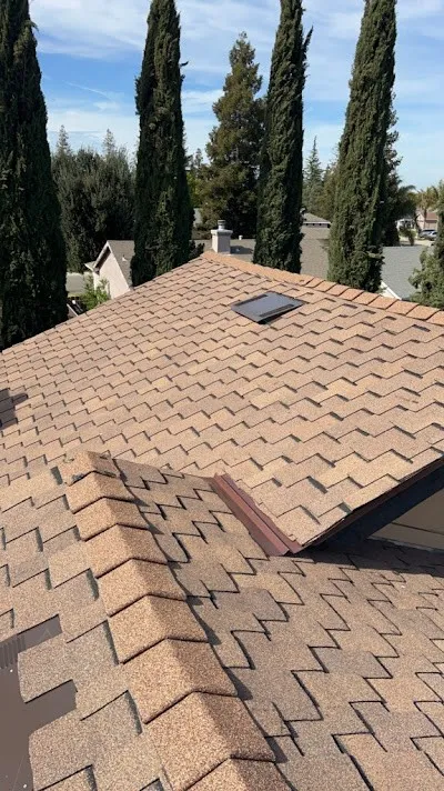 Alba's Roofing