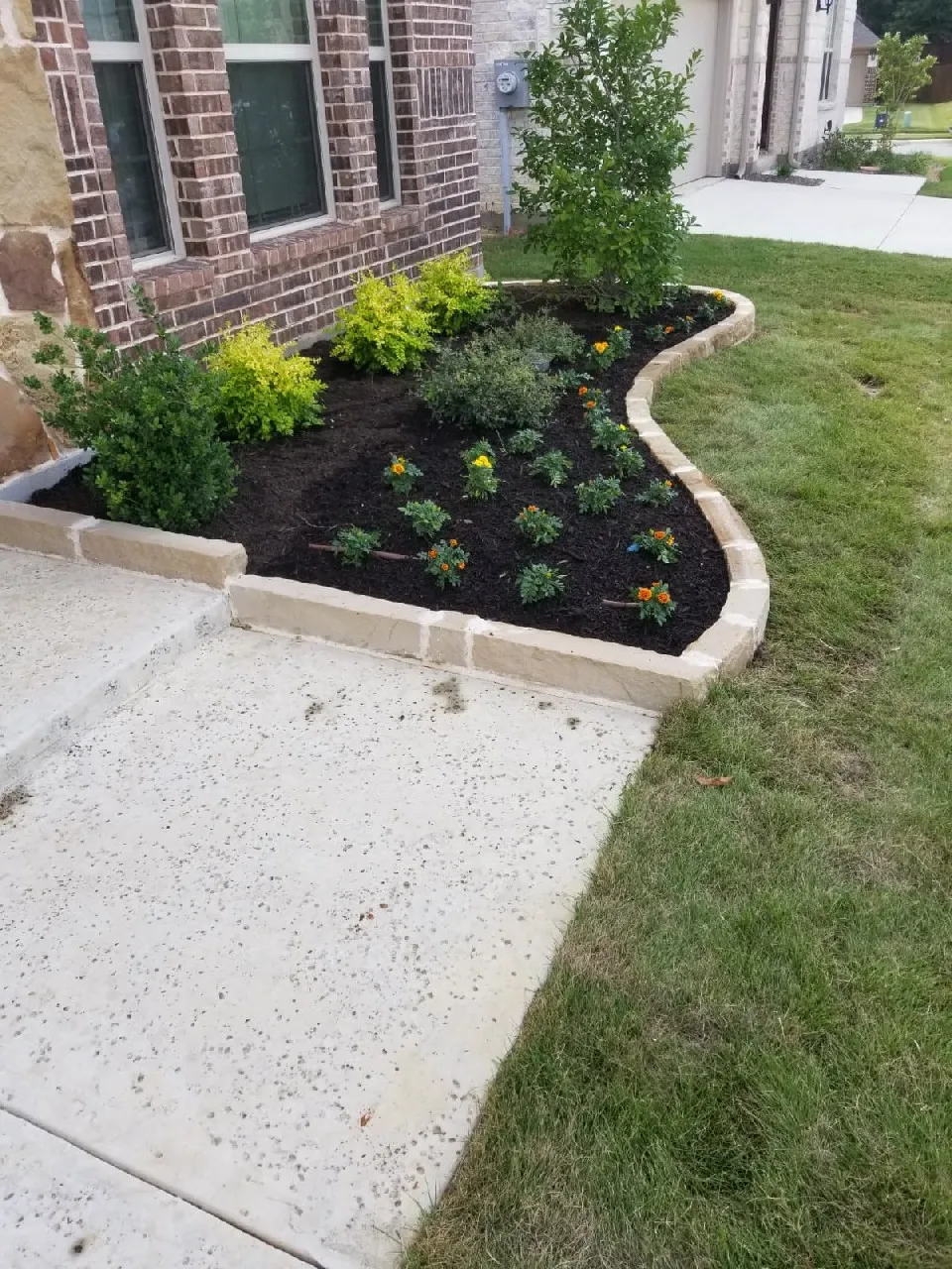 Gallery image 13