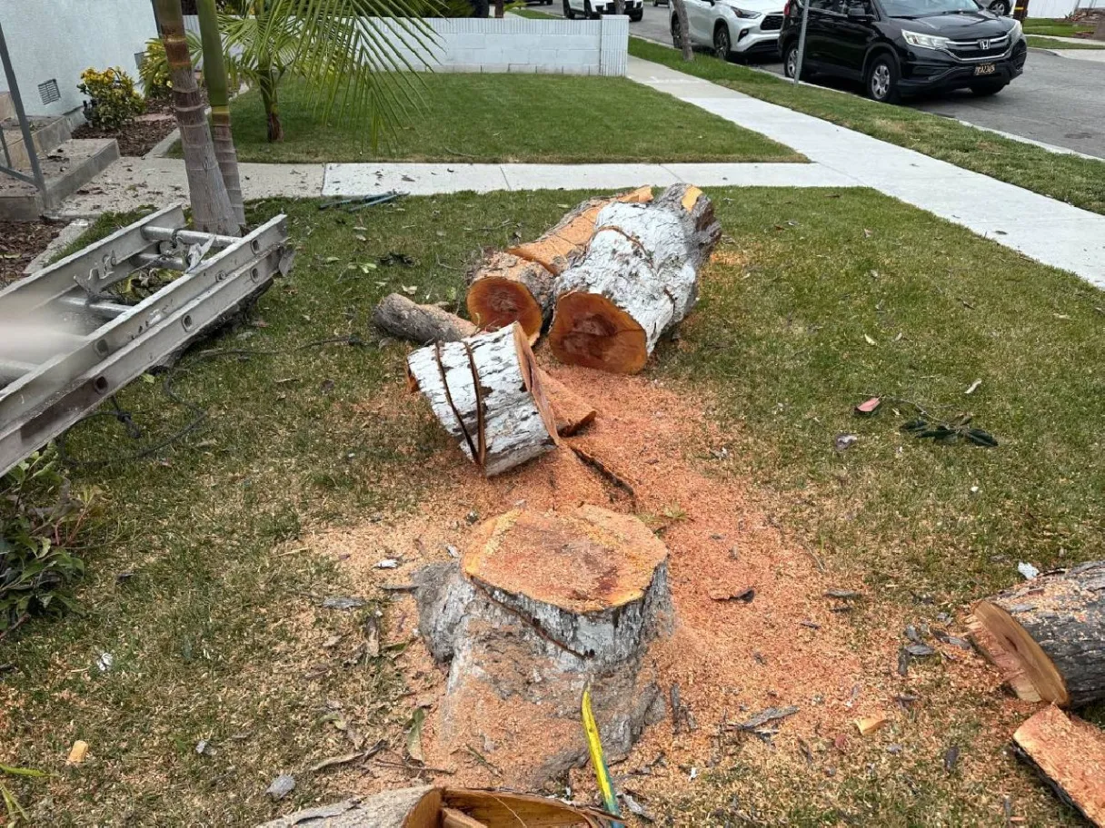 Gallery image 14