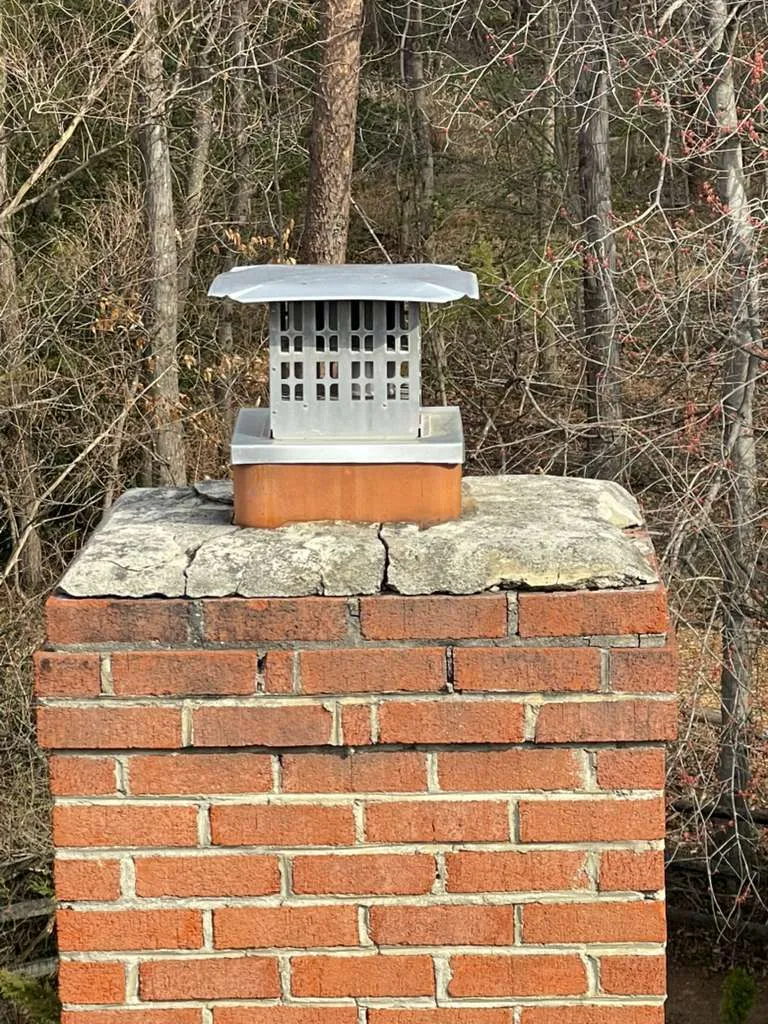 Gallery image 12