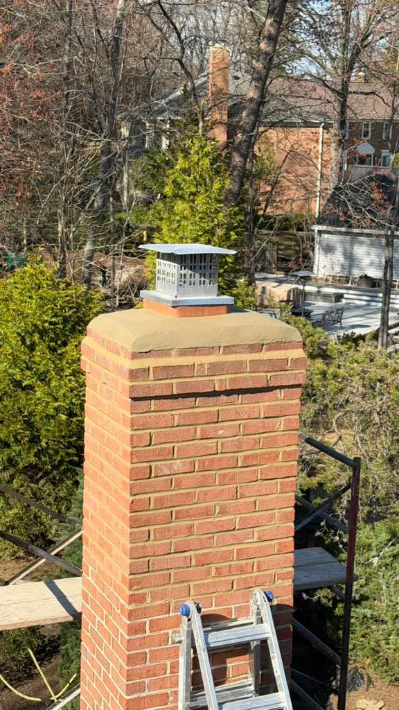 Gallery image 14