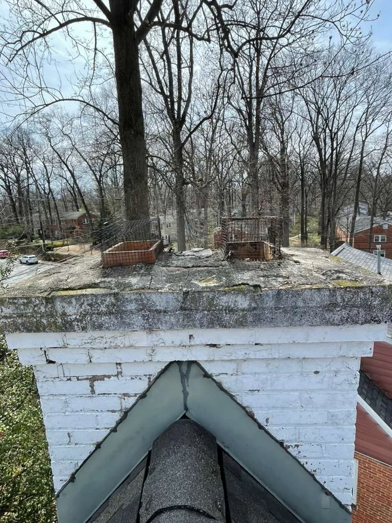 Gallery image 14